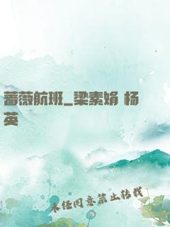 蔷薇航班